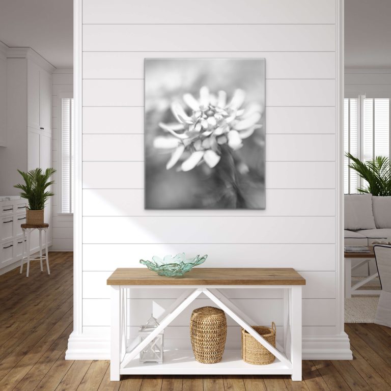 Fine Art Prints