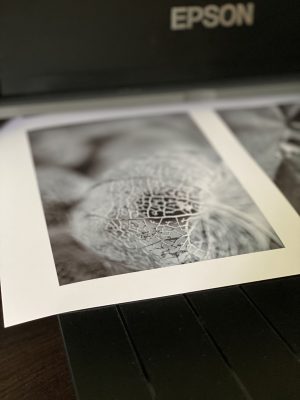 Foto eines Fine Art Prints, der gerade aus einem Drucker ausgewiesen wird, von Sandra Bechtold Photographie