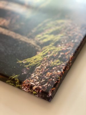 Detailaufnahme eines auf Leinwand gedruckten Waldbildes von Sandra Bechtold Photographie